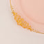 10-Pack Plastic 10" Round Dinner Plates in Transparent Blush with Gold Leaf Embossed Rim - Disposable Vintage Baroque Style Plates
