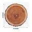 6-Pack Disposable Table Placemats in Natural Wood Slice Print - 700GSM Cardboard Placemats for Boho Farmhouse Decor 13"