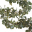 6.5ft Artificial Eucalyptus and Boxwood Garland String Lights, Warm White 20 LED Battery Operated Fairy Lights with Fake Greenery Hanging Vines