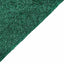 20ftx10ft Hunter Emerald Green Metallic Shimmer Tinsel Event Curtain Drapes, Backdrop Event Panel