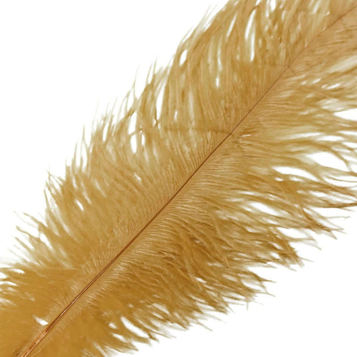 12 Pack 13"-15" Gold Natural Plume Real Ostrich Feathers, DIY Centerpiece Fillers