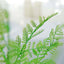 2 Stems Green Artificial Asparagus Fern Leaf Plant Indoor Faux Spray