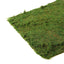 18"x16" Preserved Natural Moss Wall Sheet Roll, Moss Landscape Panel