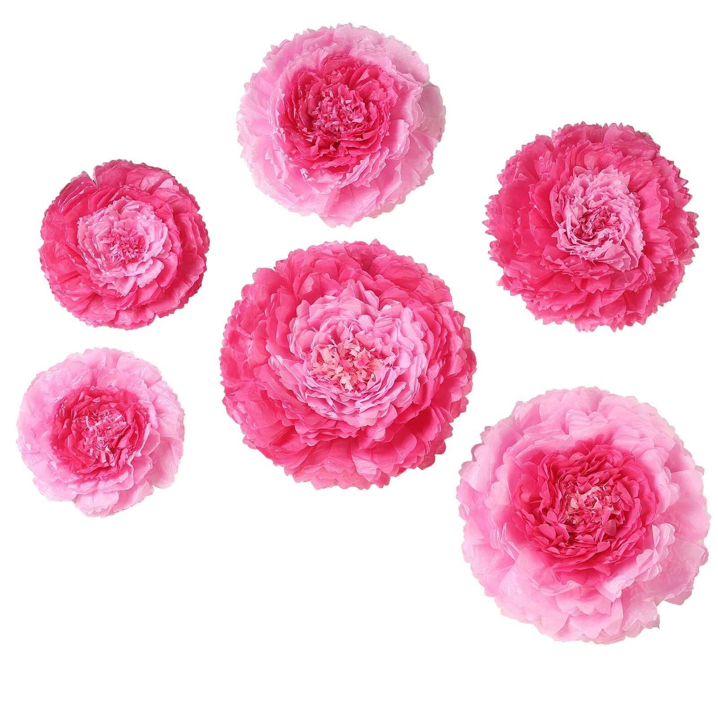Set of 6 Pink Fuchsia Giant Carnation 3D Paper Flowers Wall Decor - 12",16",20"