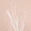 6-Pack Natural Birch Tree Branches 46" White - Versatile Extra Long Decorative Dried Willow Twigs Sticks for Vase Centerpiece Wedding Decor