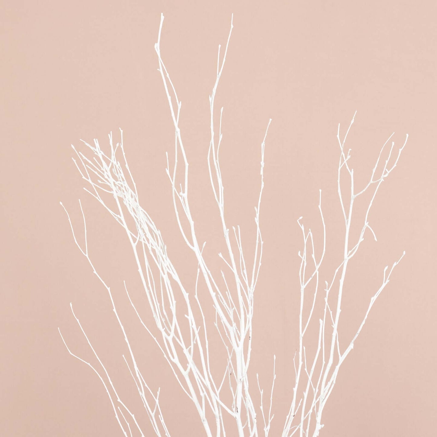 6-Pack Natural Birch Tree Branches 46" White - Versatile Extra Long Decorative Dried Willow Twigs Sticks for Vase Centerpiece Wedding Decor