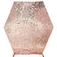 8ftx7ft Rose Gold Big Payette Sequin Sparkly Hexagon Backdrop Stand Cover