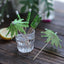 50-Pack Bamboo Cocktail Picks Tropical Leaf Parasol Design Green - Eco Friendly Disposable Drink Stick 6"