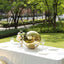 2-Pack Gazing Globe Mirror Ball Reflective Hollow Stainless Steel Gold Spheres - Decorative Outdoor Garden Display 12"