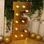 Giant LED Marquee Light Up Letter ’E’ Gold 4ft Pre-Cut Foam Board with 10 Warm White Battery Operated LEDs Glue Gun