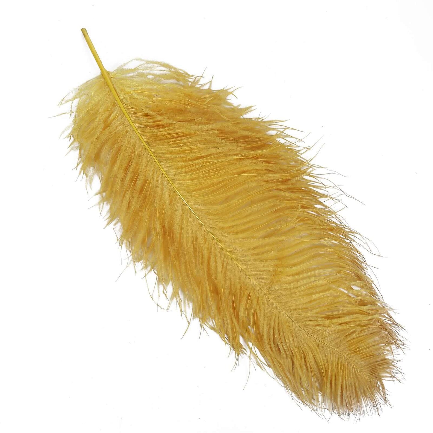 12 Pack Gold Natural Plume Ostrich Feathers Centerpiece Filler - 24"-26"