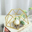 Set of 2 Candle Holders Metal Hexagon Geometric Design Gold - Modern Decorative Centerpieces for Tables 4"x3"