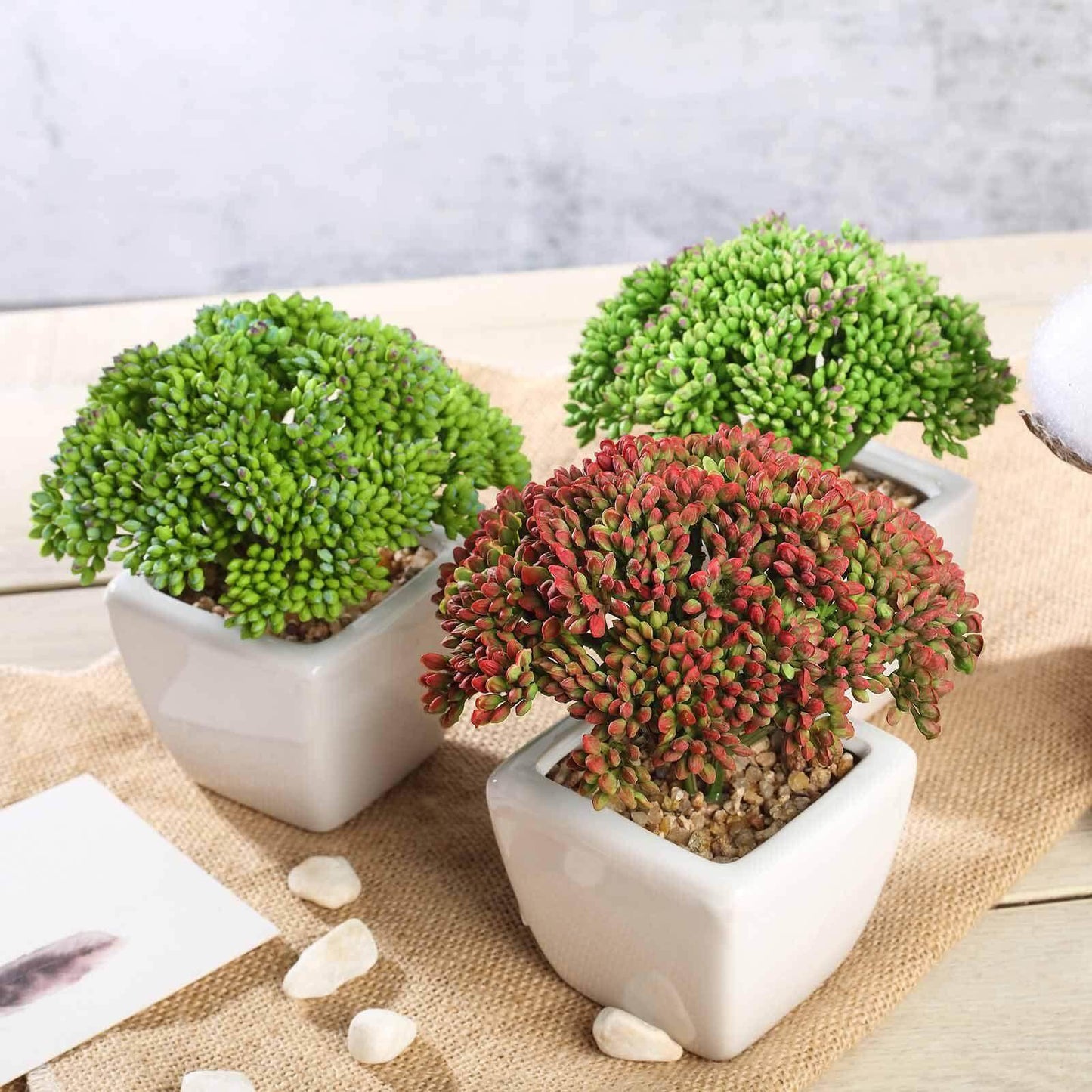 3-Pack Joy Sedum Artificial Succulents in Ceramic Pots - Lifelike Decorative Faux Plants for Home Office & Event Design 6"