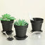 12-Pack Dessert Cups Succulent Planter Design Black - Plastic Serving Cups with Lids and Shovels 4"