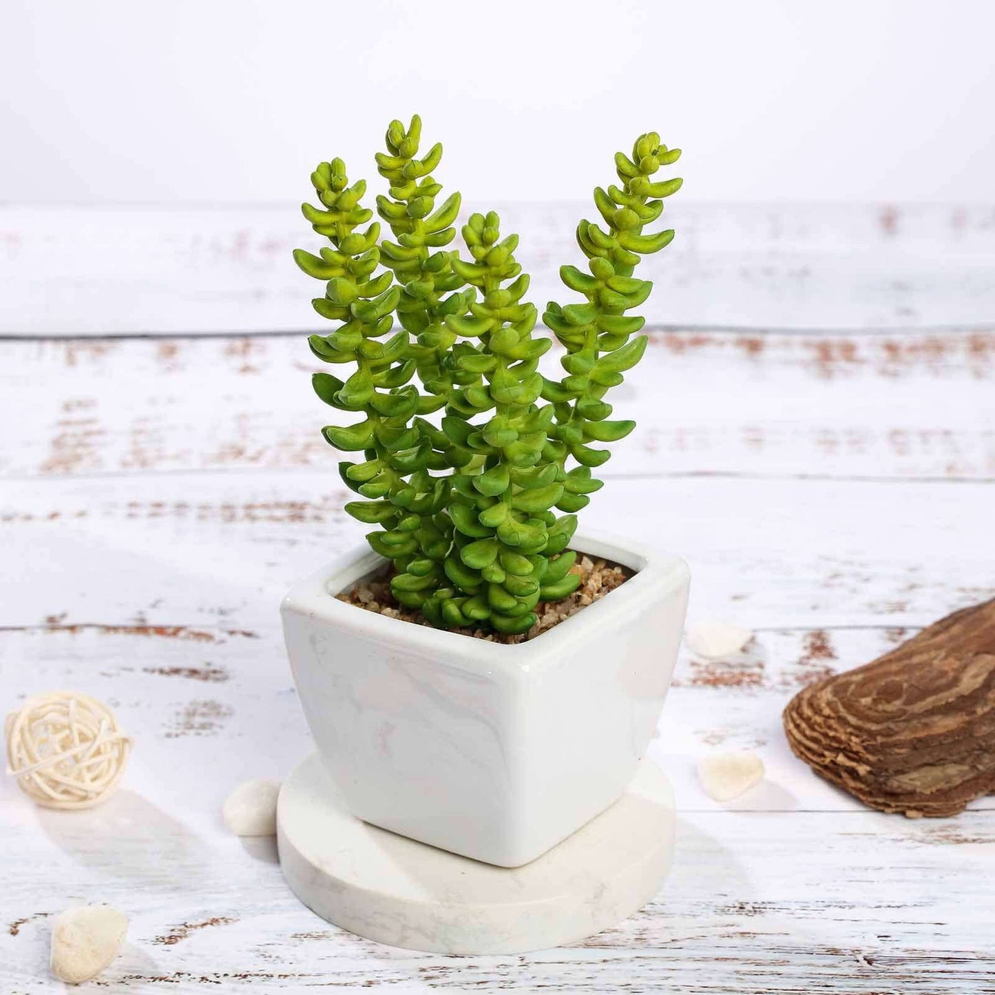 3-Pack Sedum Artificial Succulents in Ceramic Pot - Lifelike Decorative Faux Plants for Home Office & Event Design 8"
