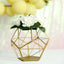 Tealight Candle Holder Gold Metal Pentagon Prism Geometric Open Frame - Flower Stand 7"