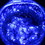 50-Pack LED Mini Balloon Lights Round Light Blue - Waterproof Battery Operated Balls 0.5"