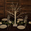 Lighted Birch Tree Lamp White Design Warm White - Battery Operated Rechargeable LED Table Accent 2ft