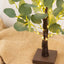 50 LED Lighted Artificial Tree Eucalyptus Plant Design Green Warm White - Battery Operated Table Accent 17"