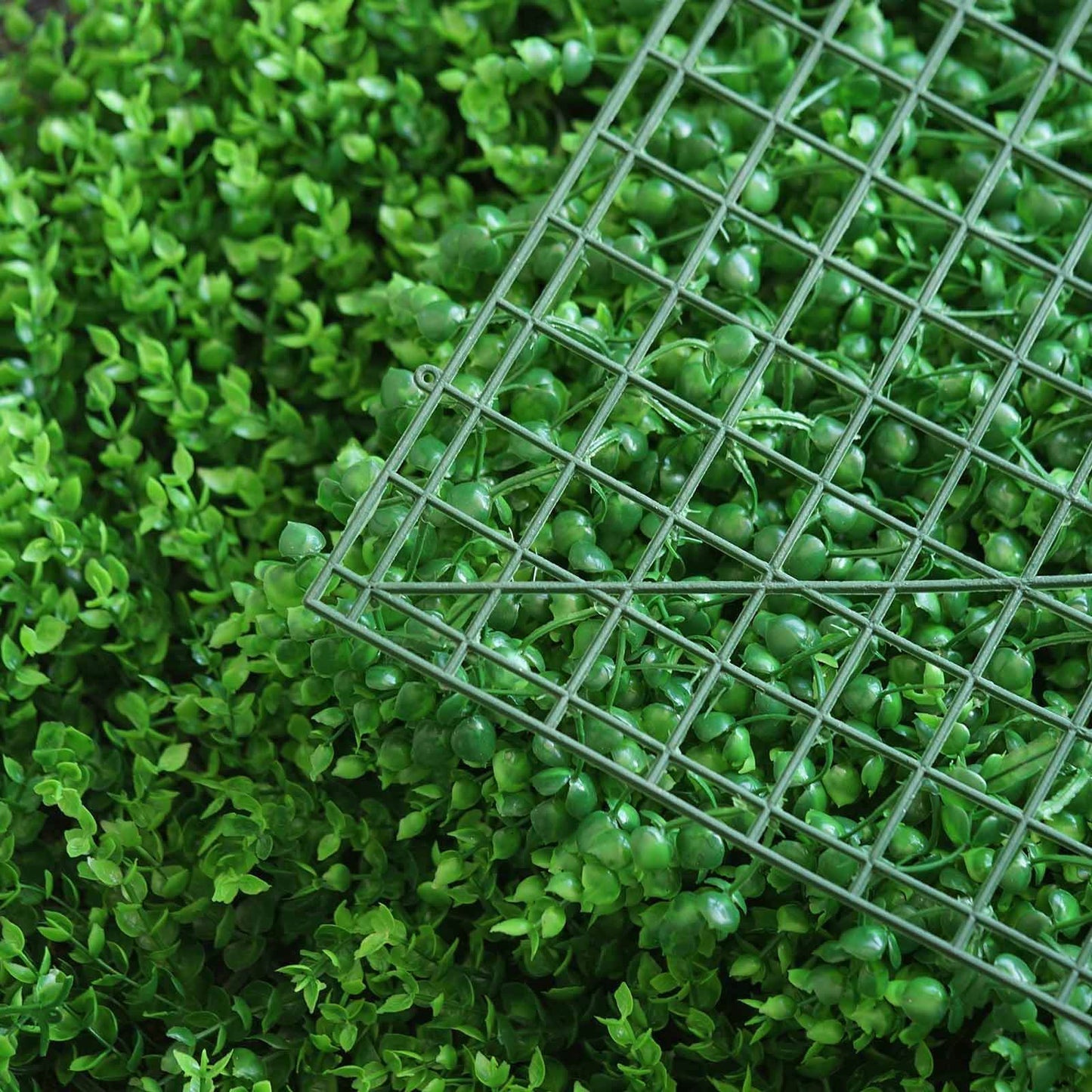 11 Sq ft. Artificial Baby Green Boxwood Hedge Garden Wall Backdrop Mat - 4 Panels