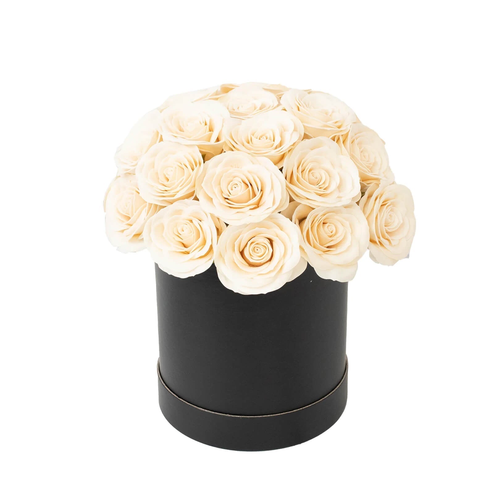 Ivory Prearranged Rose Centerpiece Arrangement 27pcs Roses with Black Round Gift Box - Decorations