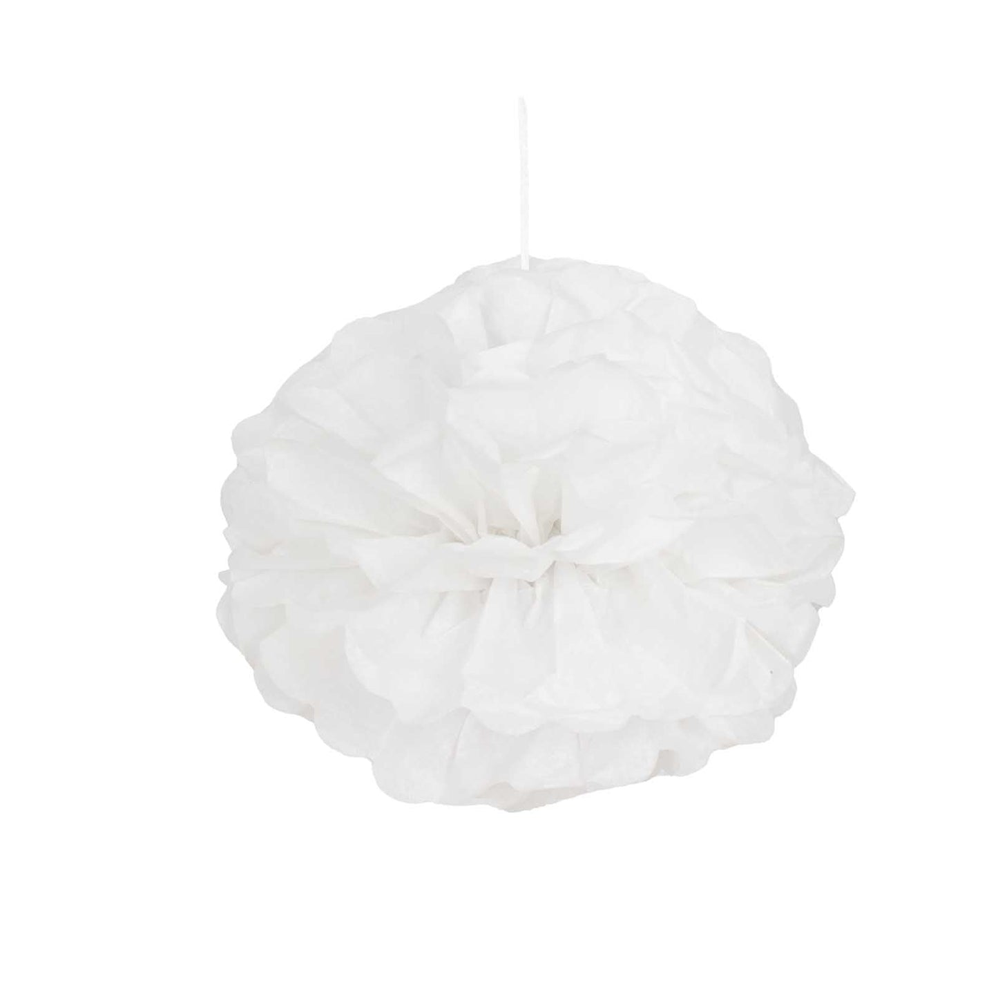 6 Pack 10" White Tissue Paper Pom Poms Flower Balls, Ceiling Wall Hanging Decorations