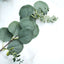 14 Stems Real Touch 12" Artificial Eucalyptus Leaf Flower Bouquet, Faux Silver Dollar Branches, Vase Floral Arrangement
