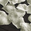500-Pack Rose Petals Round Design Ivory Silk Confetti - Decorative Scatters for Tables and Floors