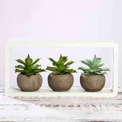 3-Pack Aloe Artificial Succulents in Ceramic Pot - Lifelike Decorative Faux Plants for Home Office & Event Design 5"