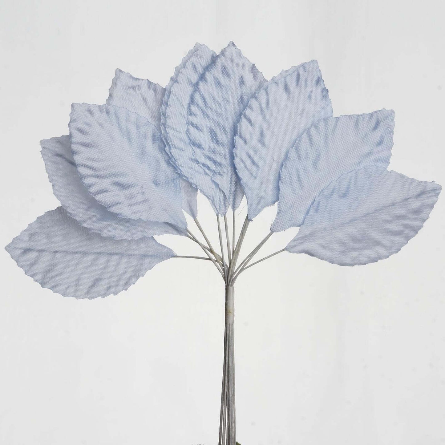 144 Light Blue Burning Passion Leaves