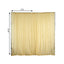 2 Pack Champagne Sheer Chiffon Event Curtain Drapes, Durable Flame Resistant Organza Backdrop Event Panels With Rod Pockets - 10ftx10ft
