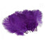 12 Pack 13"-15" Purple Natural Plume Real Ostrich Feathers, DIY Centerpiece Fillers