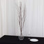 6-Pack Natural Birch Tree Branches 46" Natural - Versatile Extra Long Decorative Dried Willow Twigs Sticks for Vase Centerpiece Wedding Decor