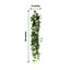40" Artificial Eucalyptus Willow Leaf Ranunculus Flower Garland Vine