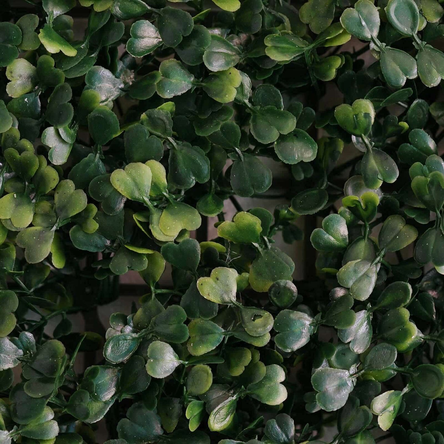11 Sq ft. Dark Green Boxwood Hedge Garden Wall Backdrop Mat - 4 Artificial Panels