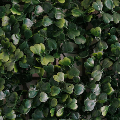 11 Sq ft. Dark Green Boxwood Hedge Garden Wall Backdrop Mat - 4 Artificial Panels