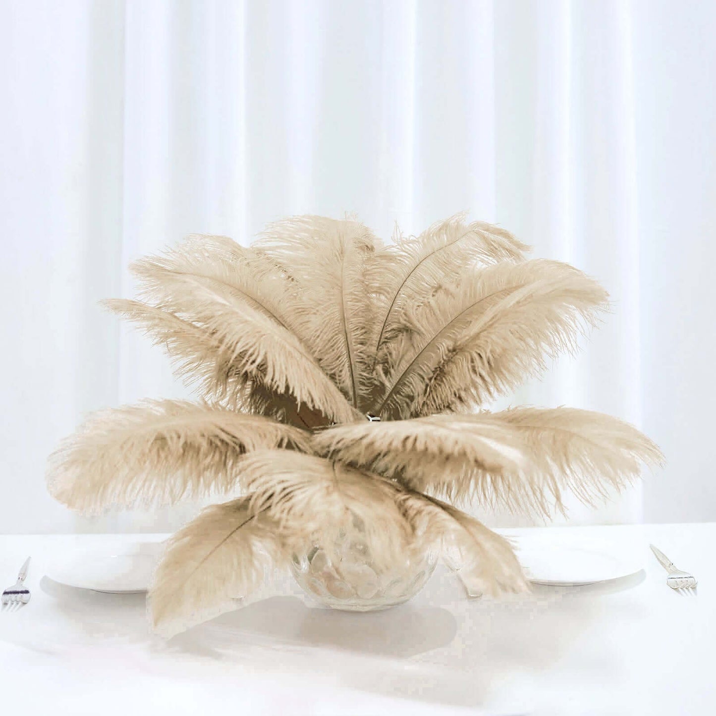 12 Pack 13"-15" Beige Natural Plume Real Ostrich Feathers, DIY Centerpiece Fillers