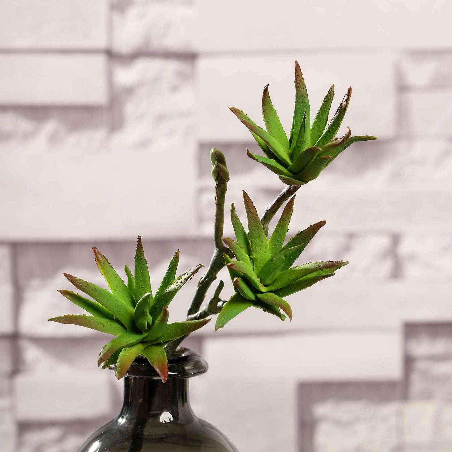 3 Pack 13" Assorted Artificial Yucca Aloe Vera Succulent Air Plants