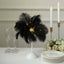 Table Lamp Ostrich Feather Design Black LED Battery Operated - Cordless Wedding Centerpiece 15"