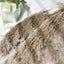 6 Stems Natural Dried Pampas Grass Decor Natural Tint - Versatile Plant Sprays for Boho Chic Vase Displays Backdrops & Event Styling 32"