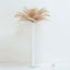 12 Pack 13"-15" Beige Natural Plume Real Ostrich Feathers, DIY Centerpiece Fillers