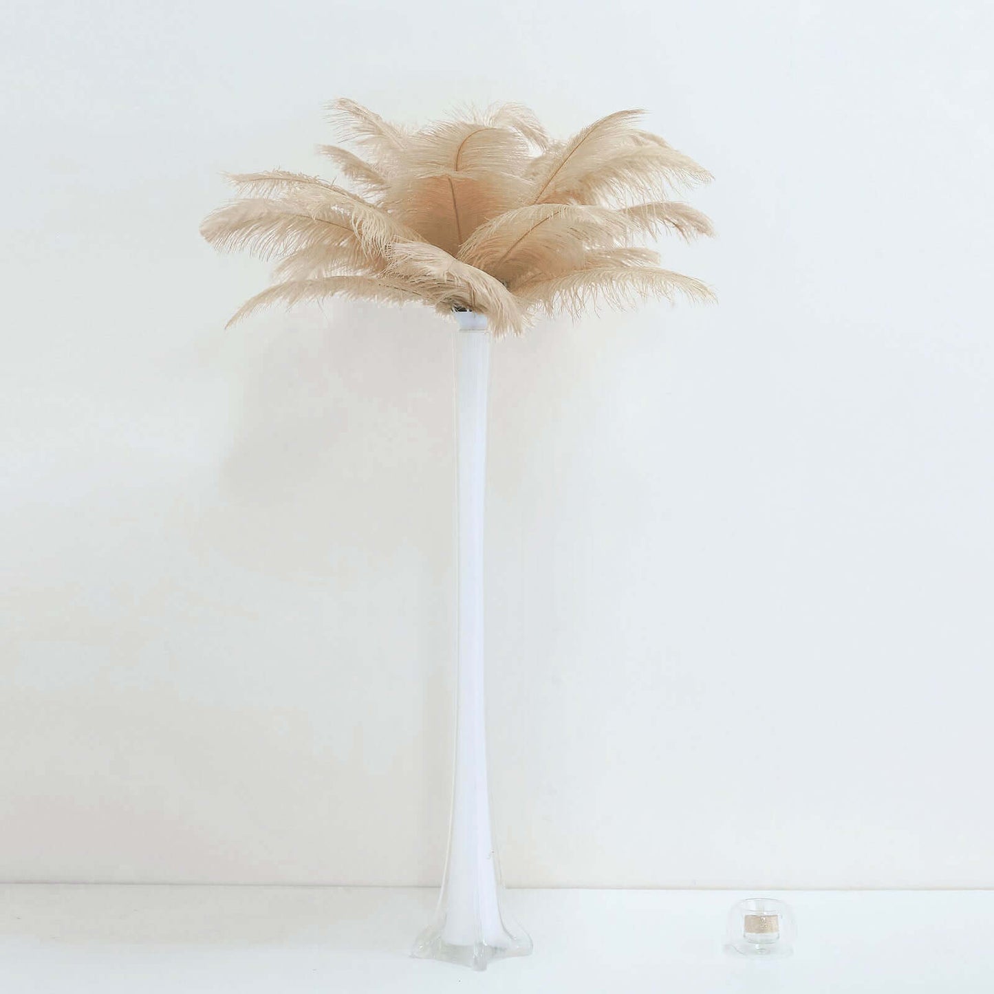 12 Pack 13"-15" Beige Natural Plume Real Ostrich Feathers, DIY Centerpiece Fillers