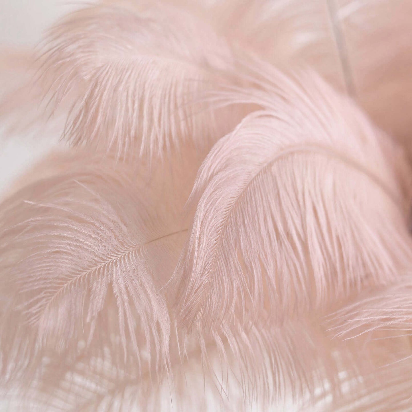 12 Pack 13"-15" Rose Gold Natural Plume Real Ostrich Feathers, DIY Centerpiece Fillers