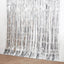 8ft Silver Metallic Tinsel Foil Fringe Doorway Curtain Party Backdrop
