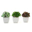 3-Pack Echeveria Elegans Artificial Succulents in Ceramic Pot - Lifelike Decorative Faux Plants for Home Office & Event Design 5"