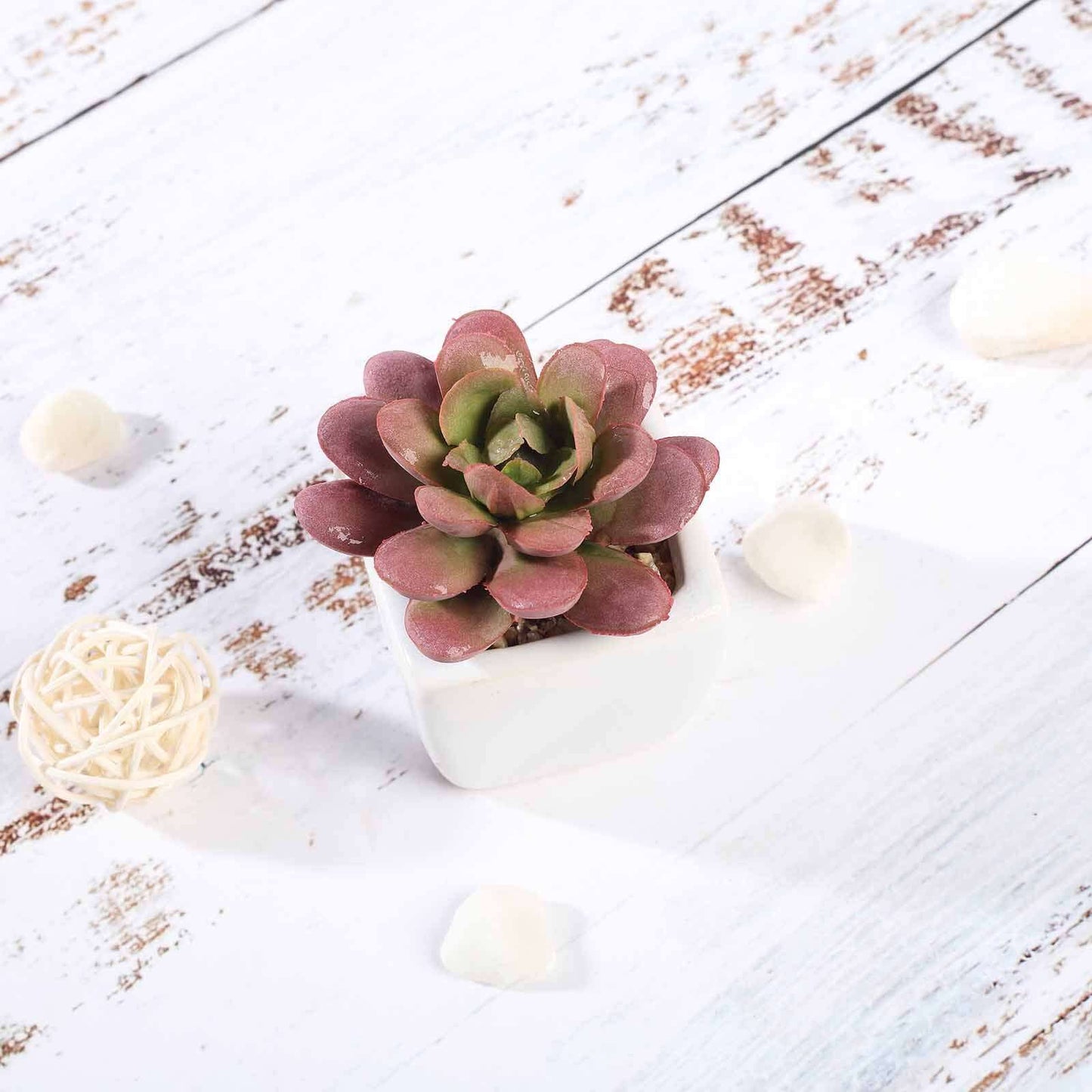 3-Pack Echeveria Elegans Artificial Succulents in Ceramic Pot - Lifelike Decorative Faux Plants for Home Office & Event Design 3"