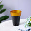 2-Pack Flower Plant Pots Medium Design Black with Gold Rim - Plastic Indoor Decorative Planters 6"