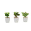3-Pack Mini Jade Artificial Succulents in Ceramic Pots - Lifelike Decorative Faux Plants for Home Office & Event Design 3"