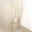 6 Stems Natural Dried Pampas Grass Decor Off White Tint - Versatile Plant Sprays for Boho Chic Vase Displays Backdrops & Event Styling 32"