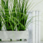 3 Plants 20" Green Artificial Indoor Outdoor Decorative Grass Sprays